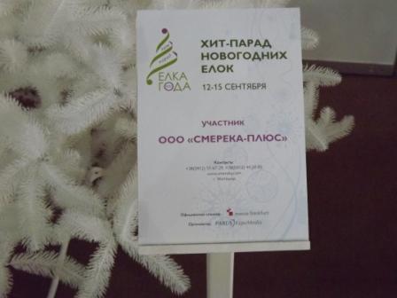 Decor выставка Киев МВЦ новогодняя елка 2013 акценты осени тренды 2012-2013 фото
